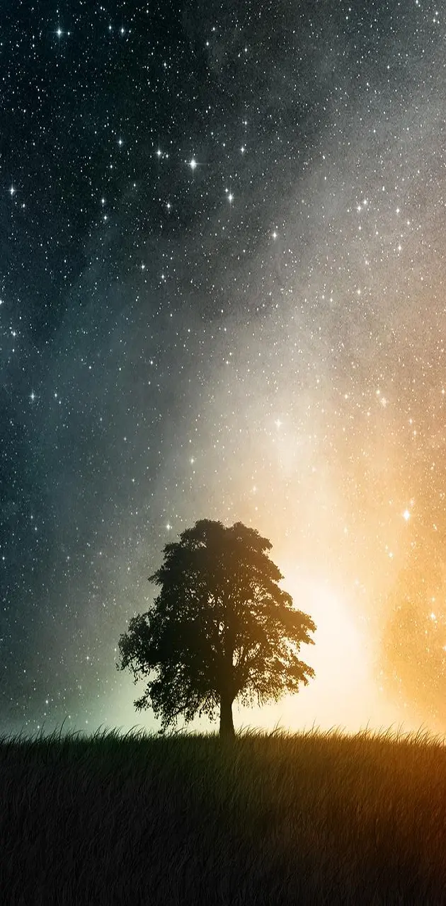 Stars Tree wallpaper by DeViL_ViKaS - Download on ZEDGE™ | 23eb