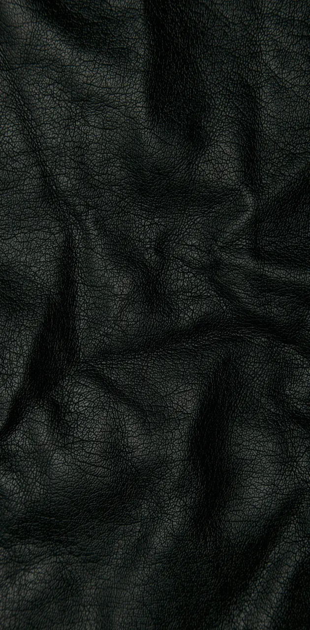 Black Leather 3D