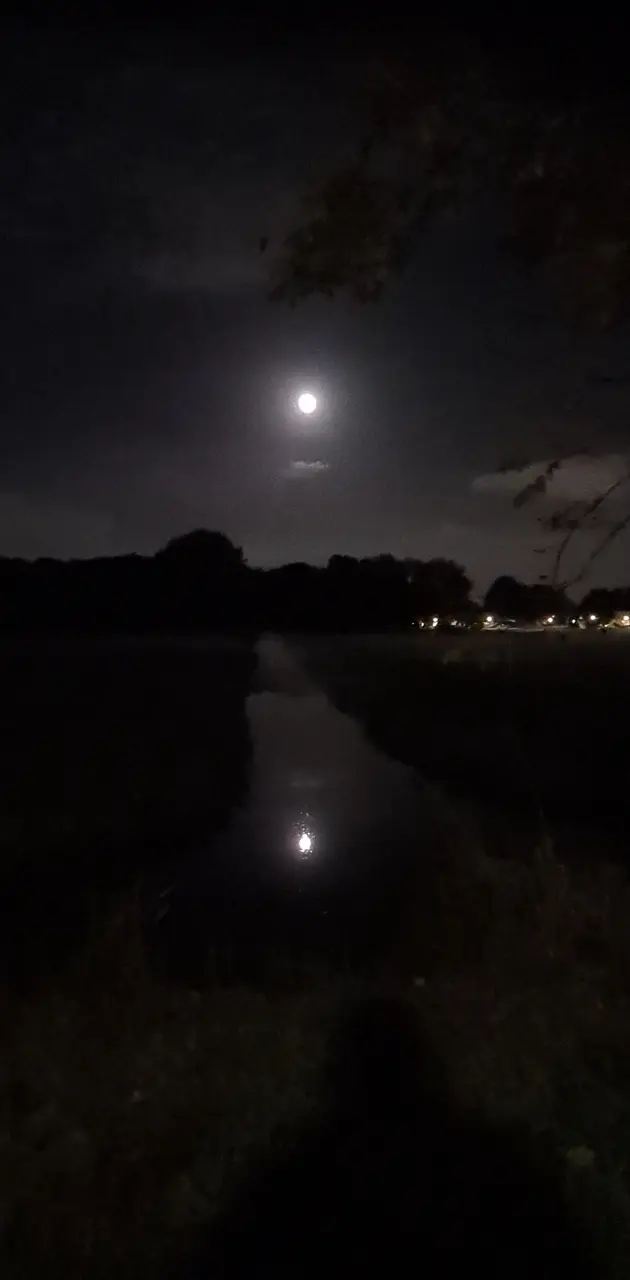 Moon on water 