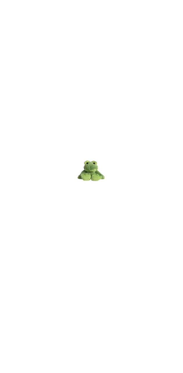 Frog plush 