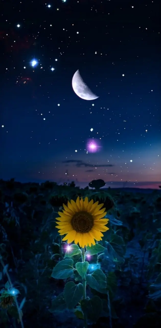 Starry Night wallpaper by hende09 - Download on ZEDGE™ | 78cb