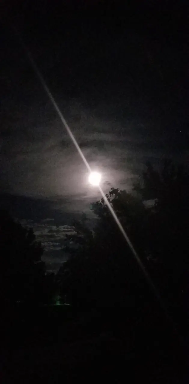 Gray moon light
