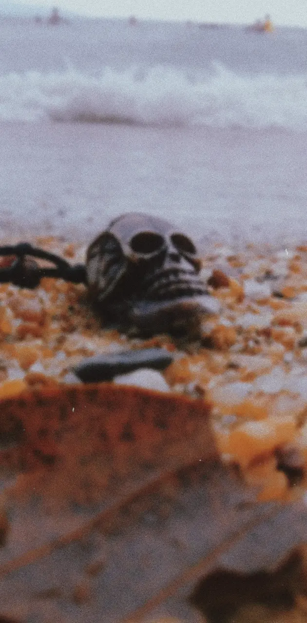 Skull on the beach