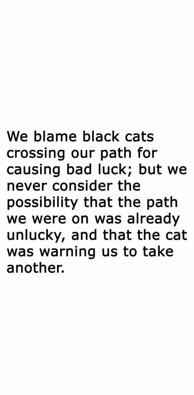 Blaming Black Cats