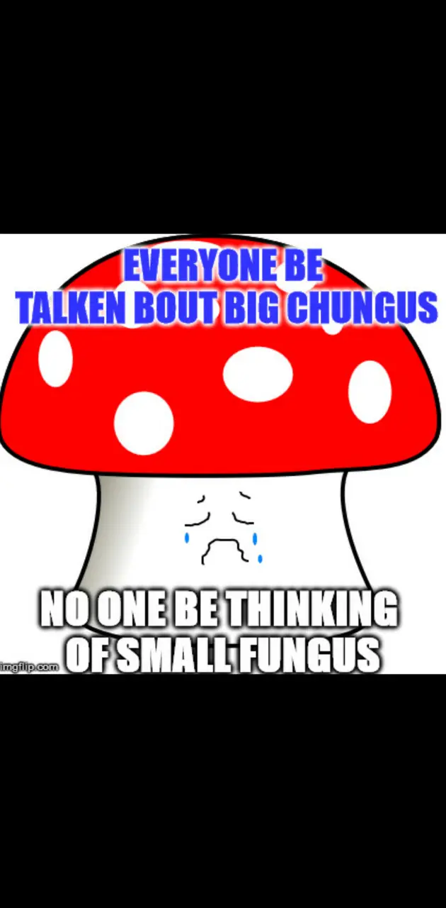 Small fungus