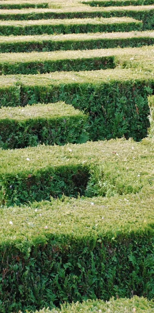 Labyrinth maze 