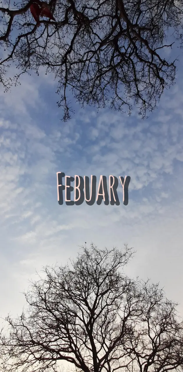 Month