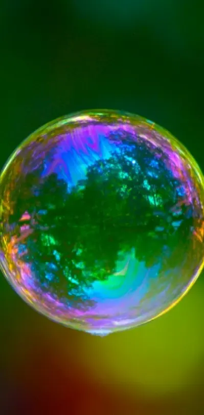 Colorfull Bubble