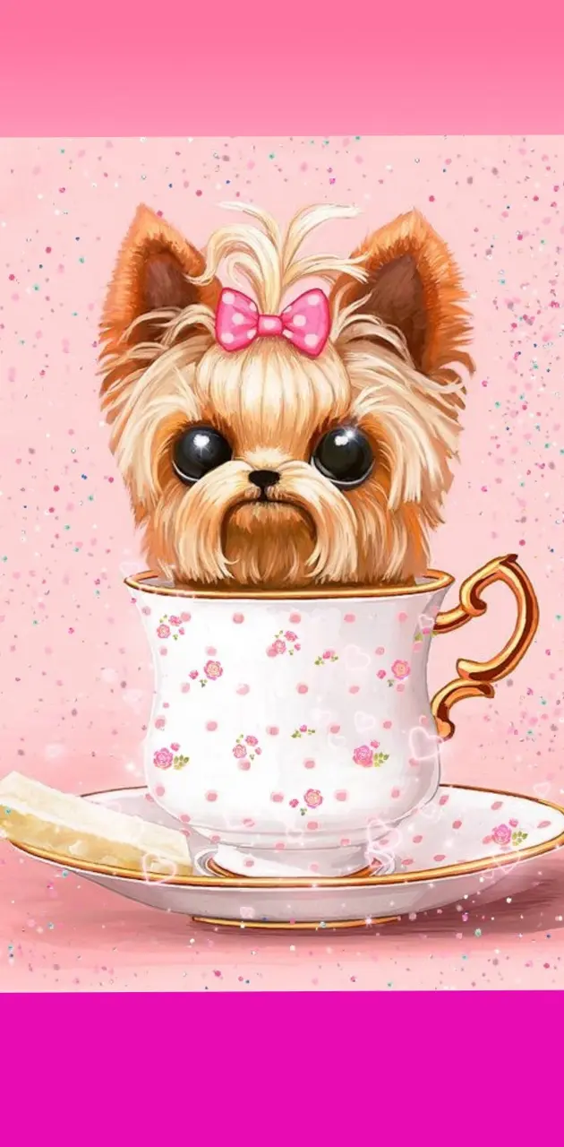 Yorkie dog teacup 