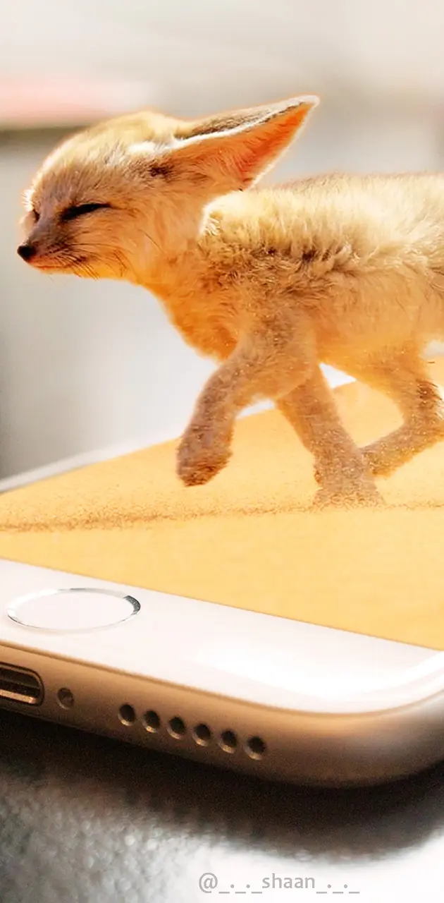 Iphone Desert Fox