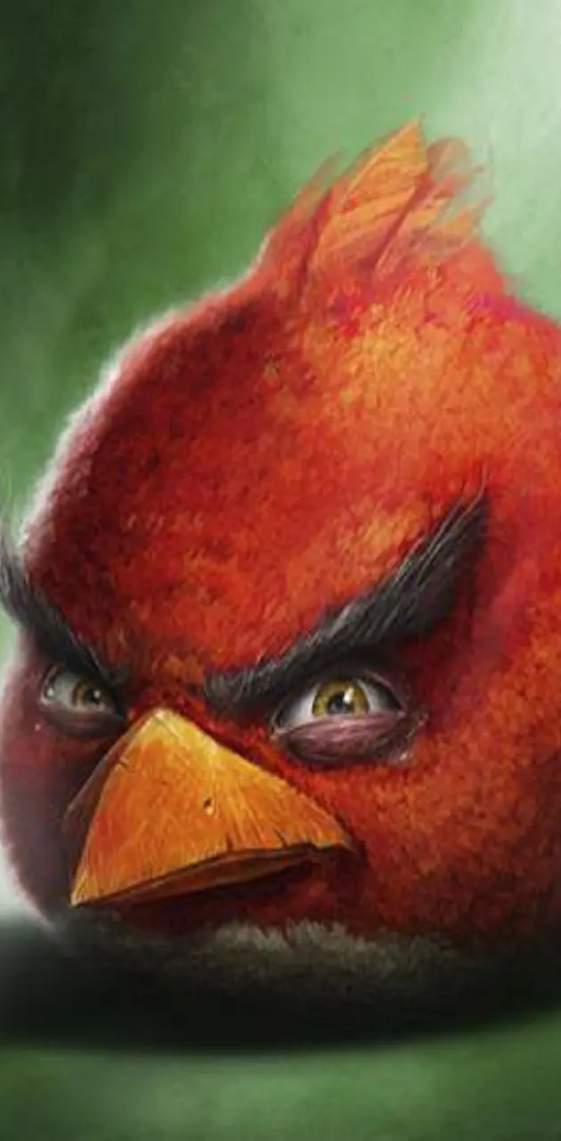 Realistic Angry Bird