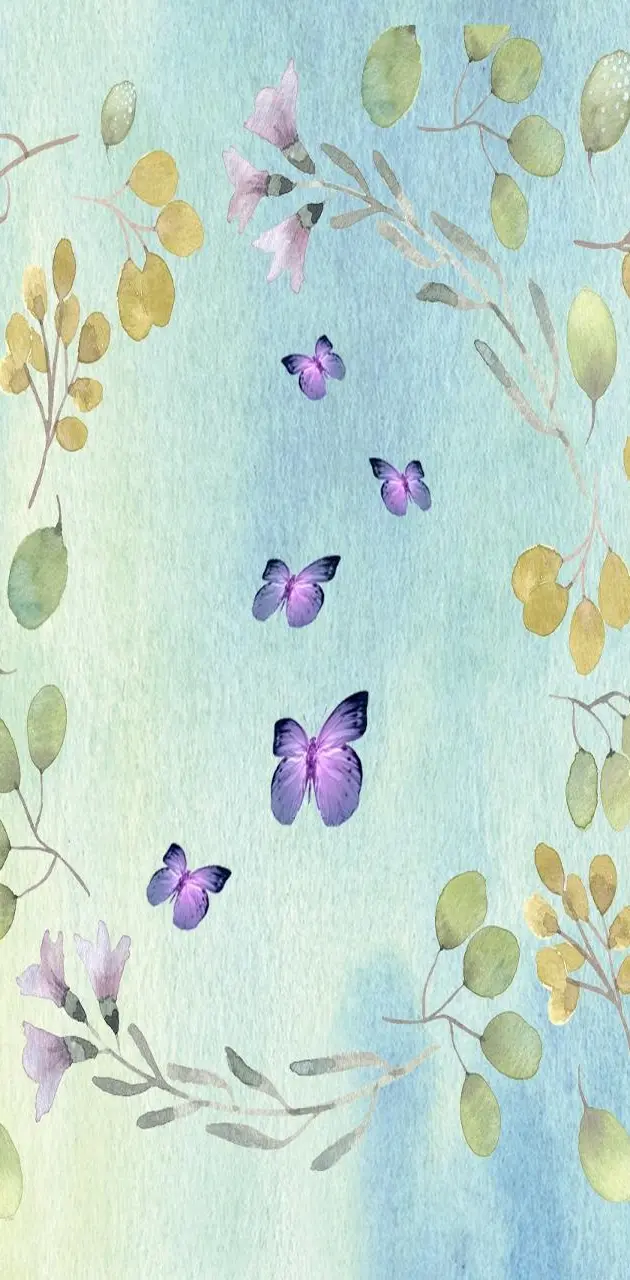 Butterflyhub