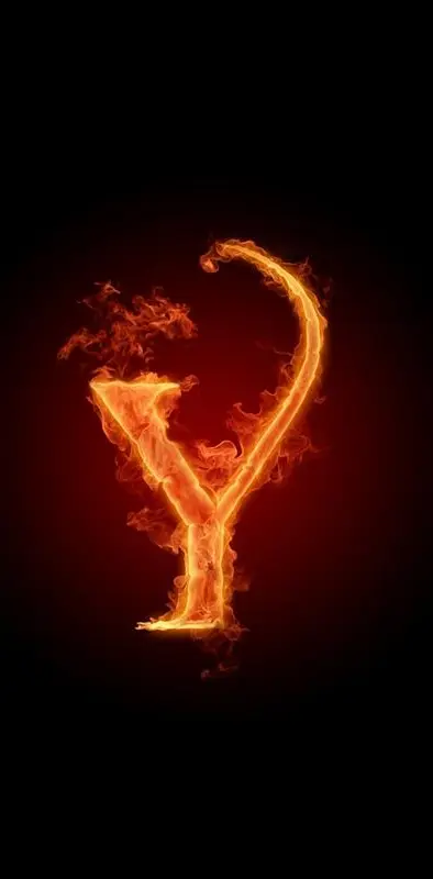 Y on Fire