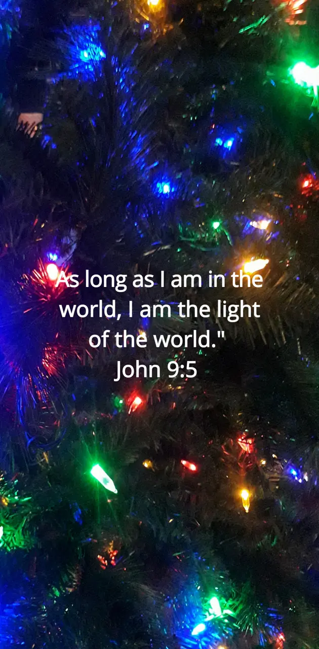 John 9:5