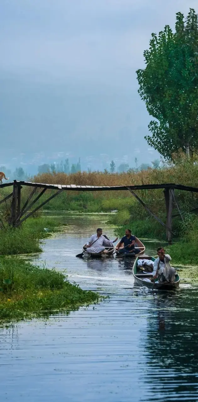Srinagar Kashmir 