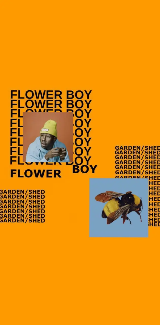 Flower Boy
