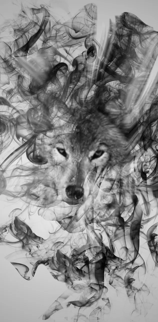 Flowy Wolf Art