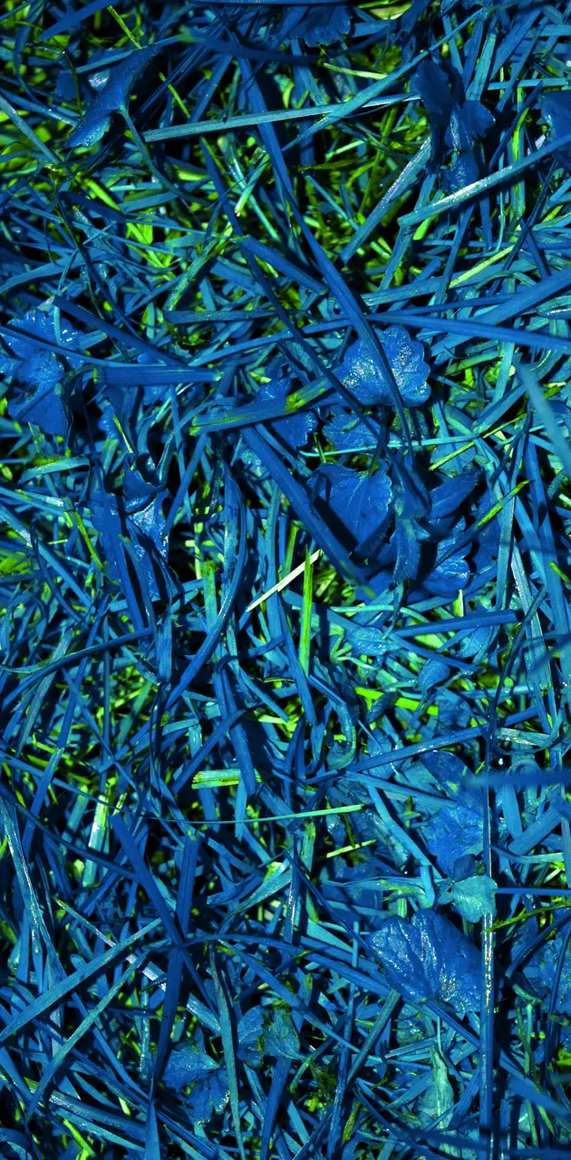Blue Neon Grass