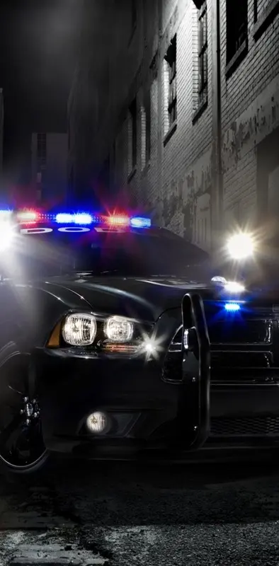 Police 2010 Car
