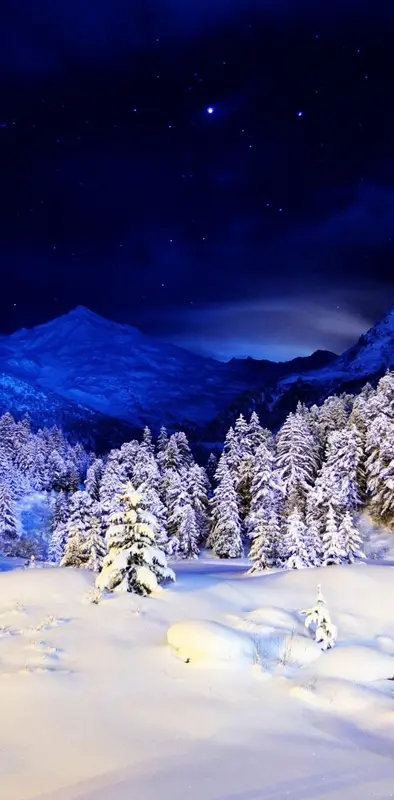 Blue Winter Night