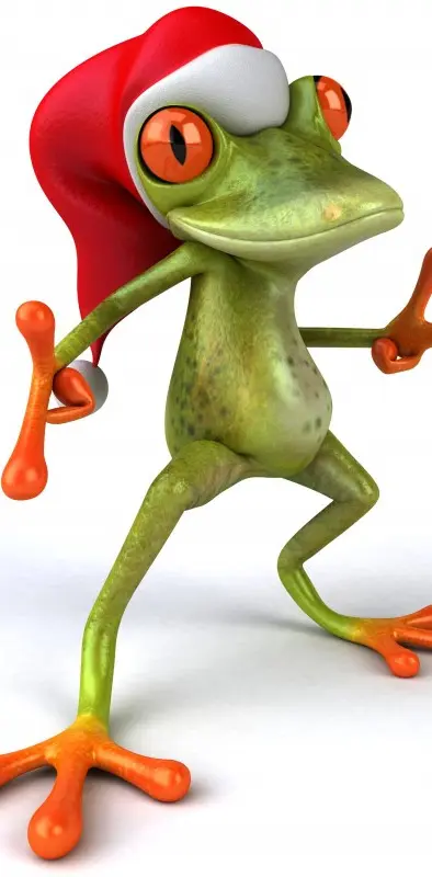 3D Funny Frog