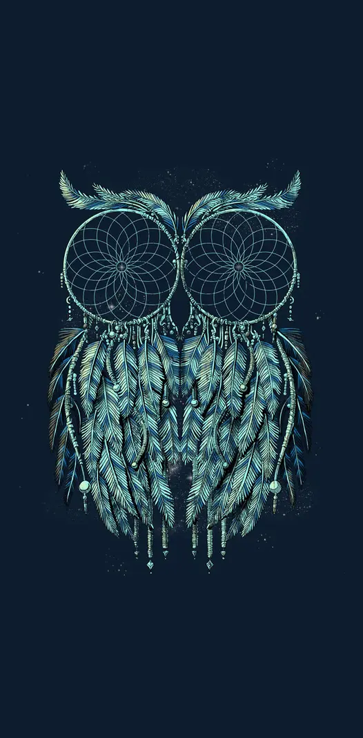 Hippy Owl