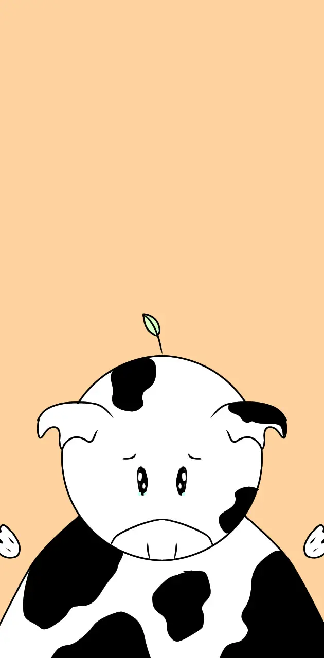 sad cow wallpaper