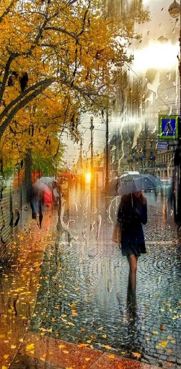 rainy day----------