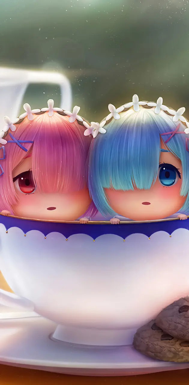 RAM AND REM