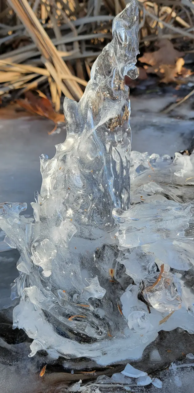 Nature's ice sculpture