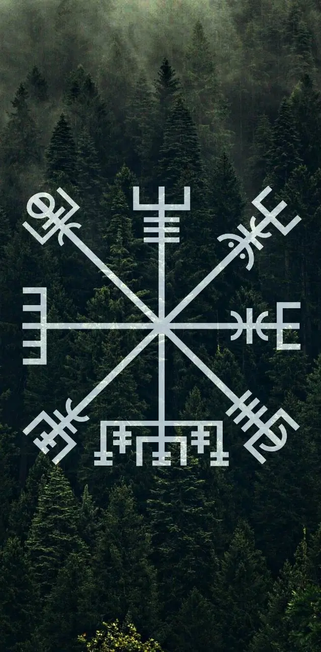 Vegvisir Symbol