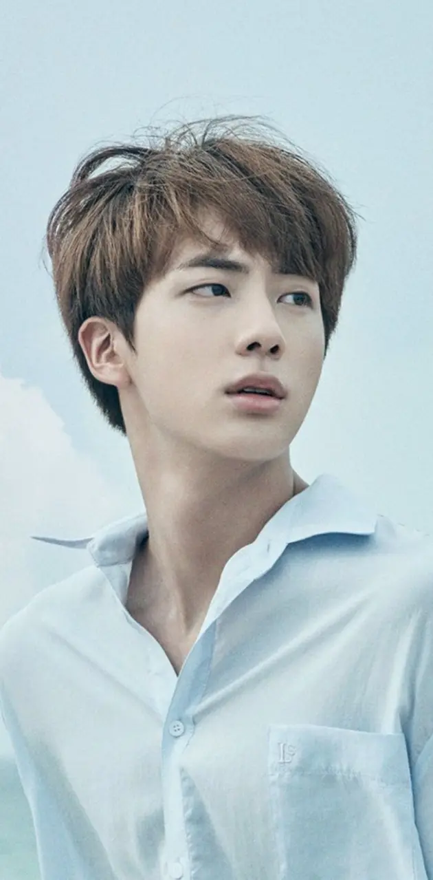 Handsome Jin