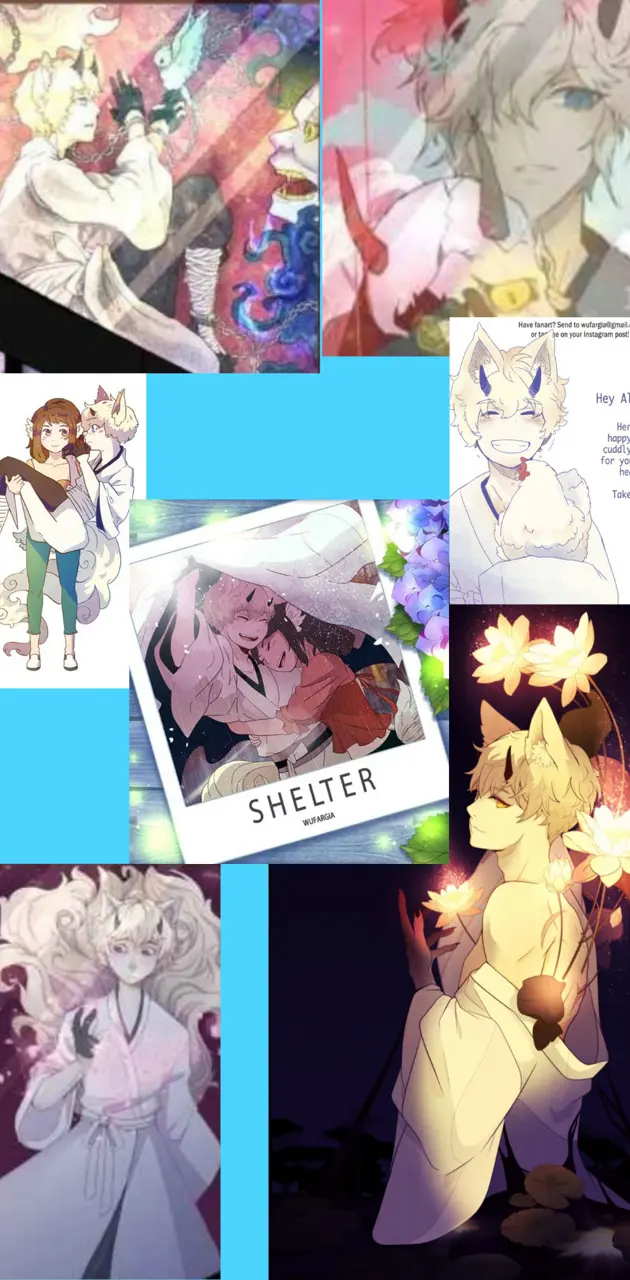 Shelter Collage