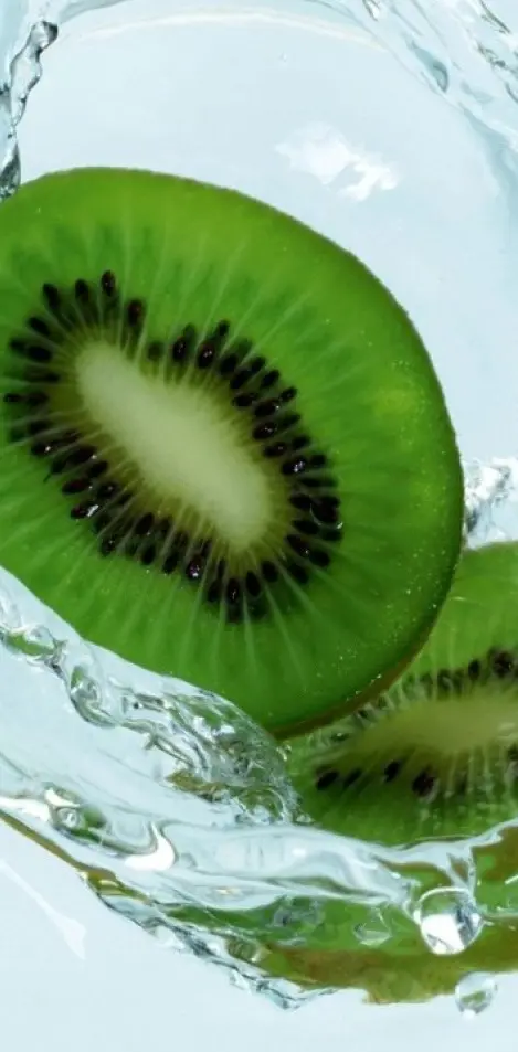 Kiwi Fruit Hd