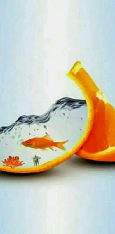 Orange fish water 3d