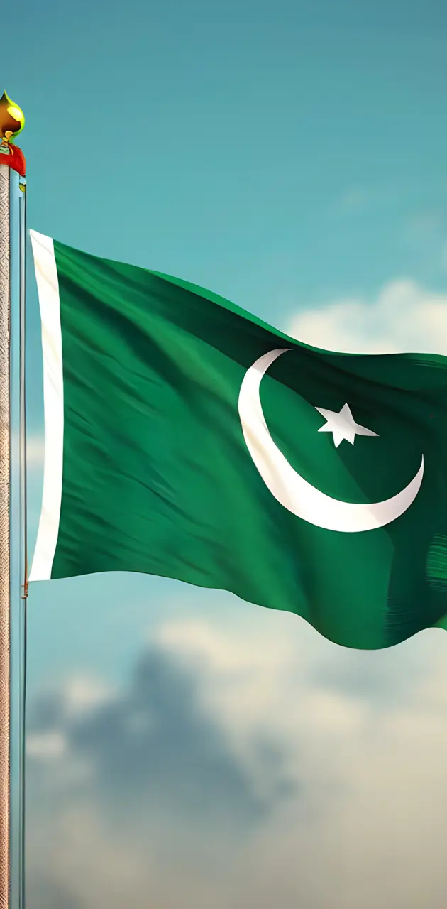 Flag Of PAKISTAN
#pakistan #pakistaniflag #greenflag #moonstar