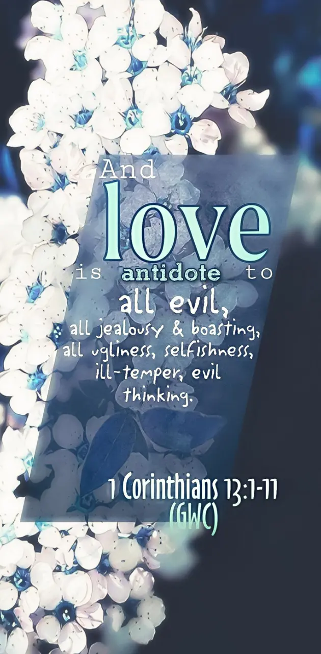 Antidote to Evil