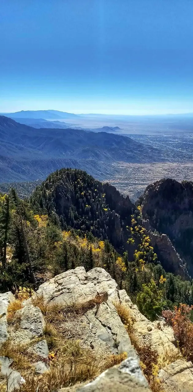 Mountain Top View