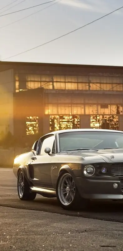 Ford Eleanor