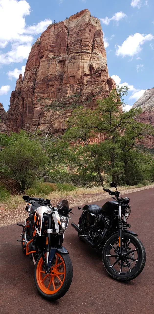 Motorcycles in Zion