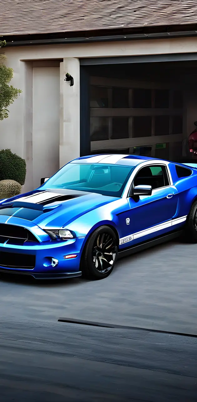 Shelby gt500 2013