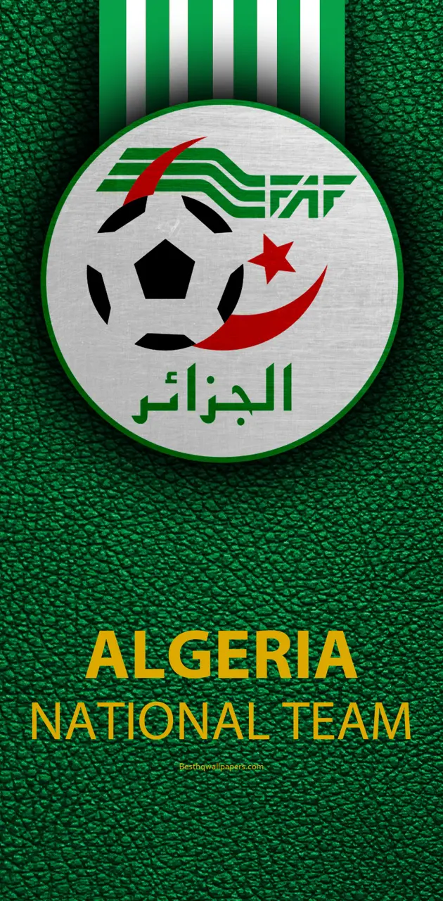 Algeria Football