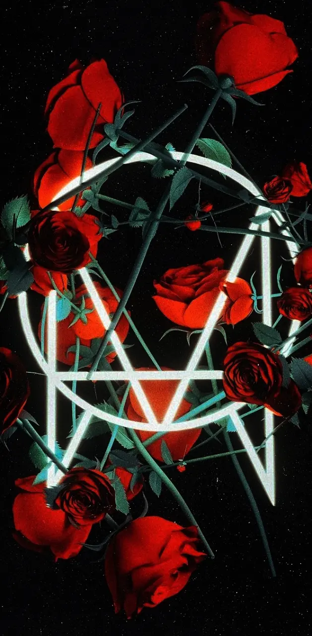 Owsla with roses