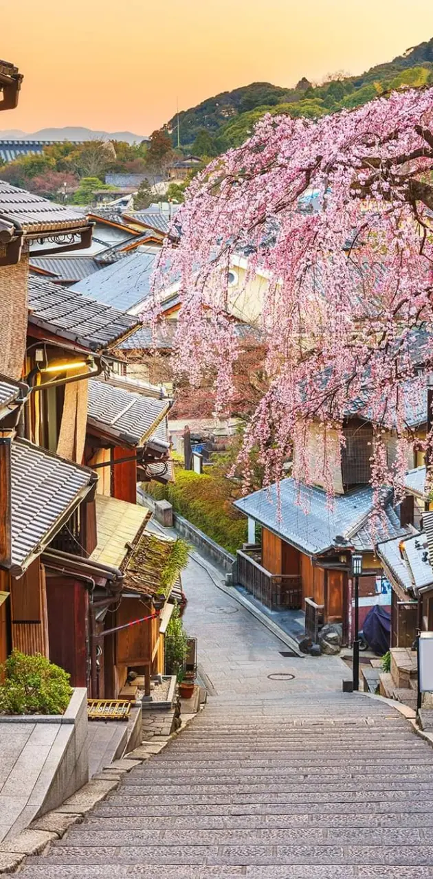 Kyoto Japan 