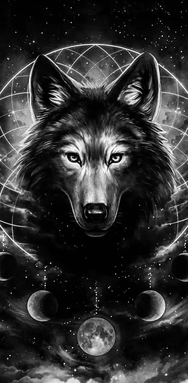 Black white wolf