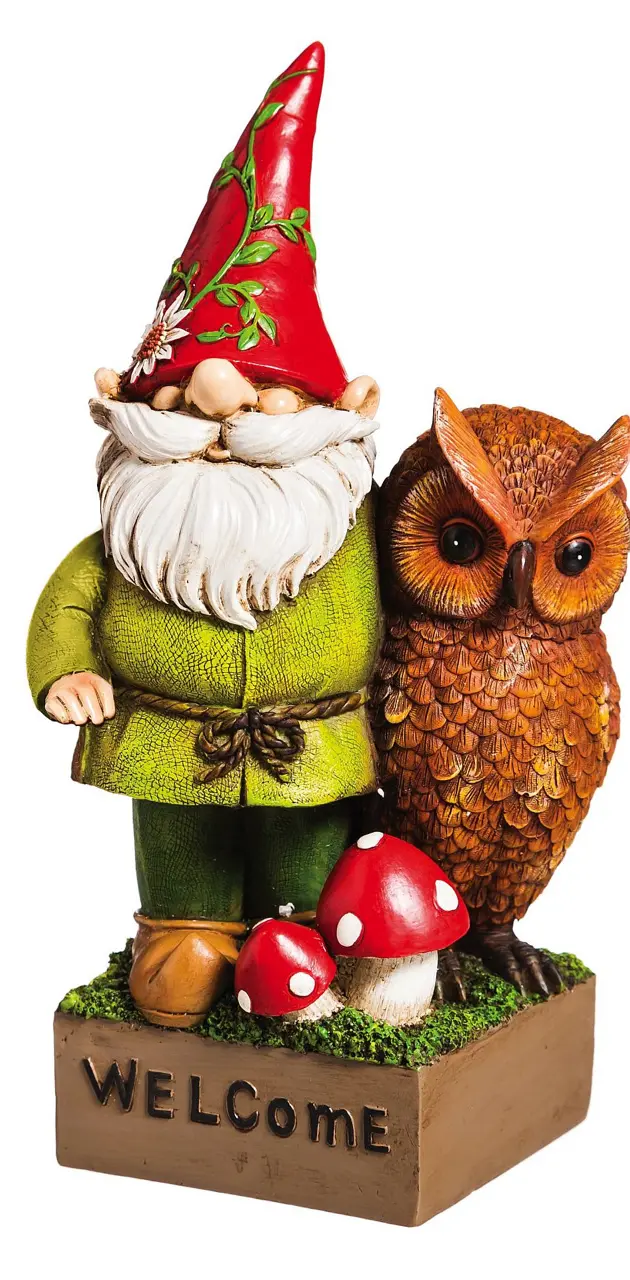 Gnome And Owl