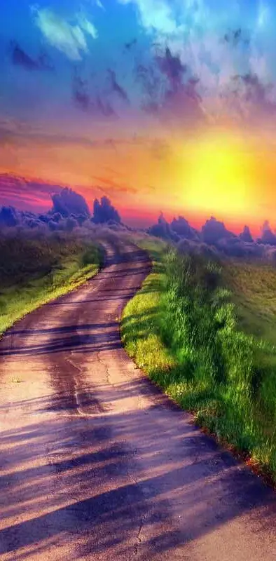 Beautiful Path