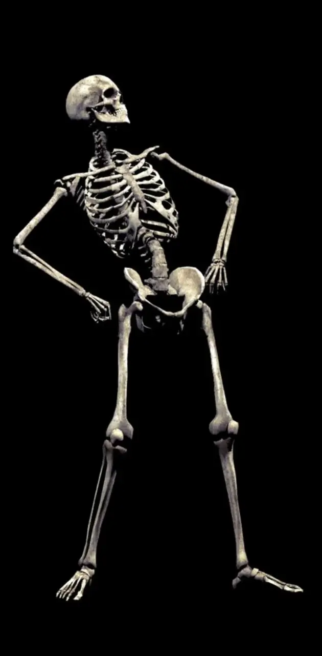 Realistic skeleton 