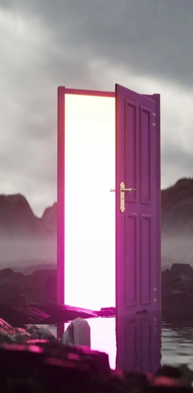 The door 