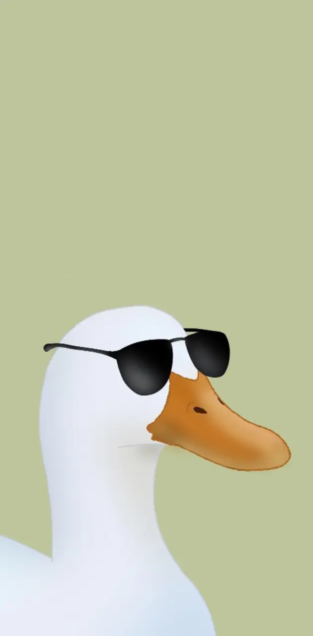 Duck with sunglasses 